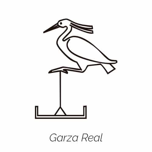 Garza Real Jeroglíficos