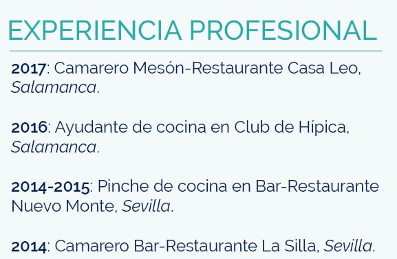 Experiencia Profesional